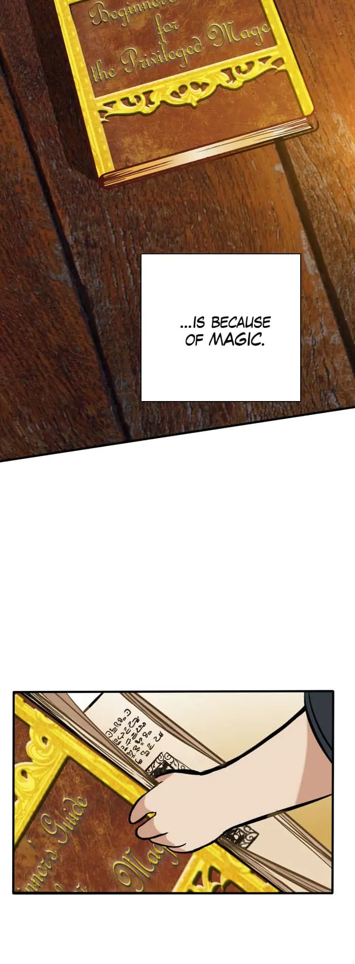 The Beginning After the End Chapter 2 image 35_optimized